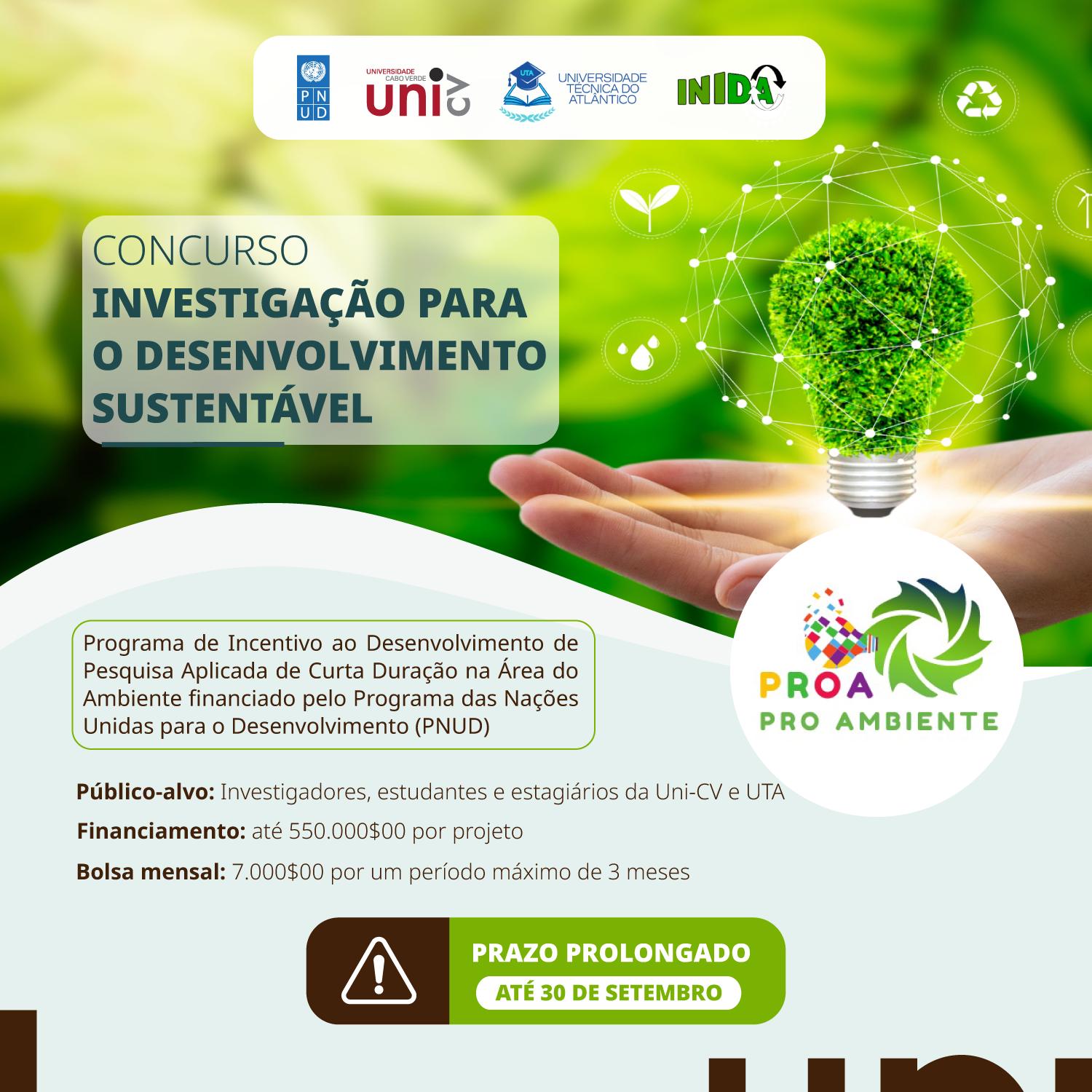 Bolsa Pro ambiente