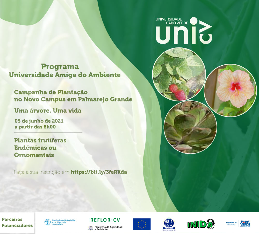 Cartaz-plantação.jpg