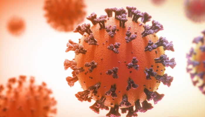 Metapneumovirus_01.jpg