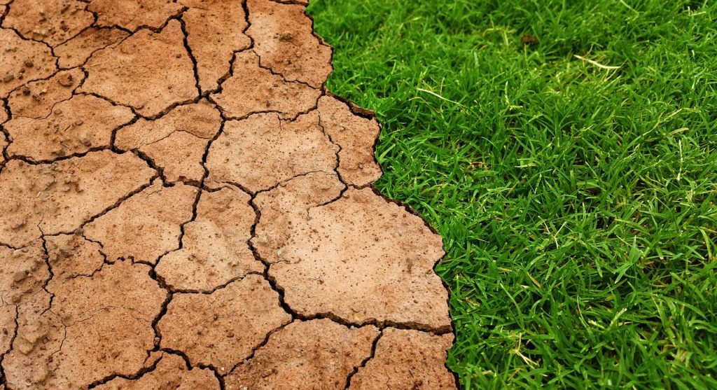 alteracoes-climaticas-1024x557.jpeg