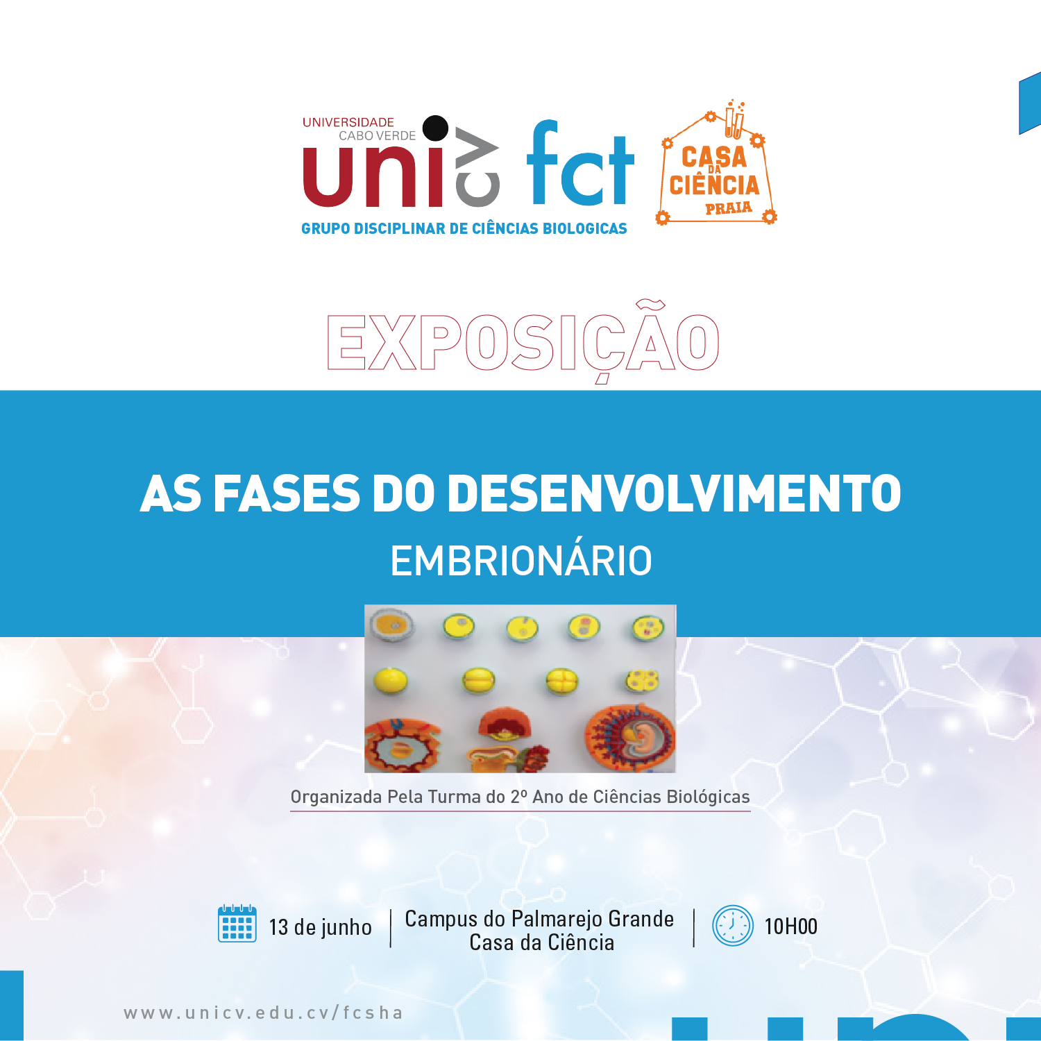 as_fases_desenvolvimento.png