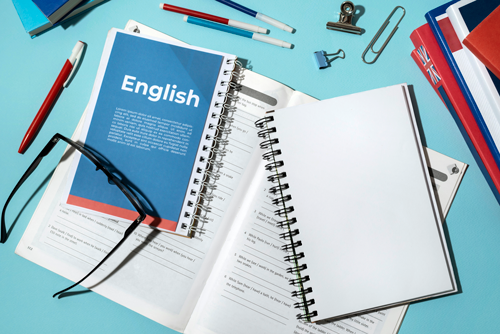 teste_optidao_ingles.png