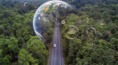 transicao_verde_.jpg